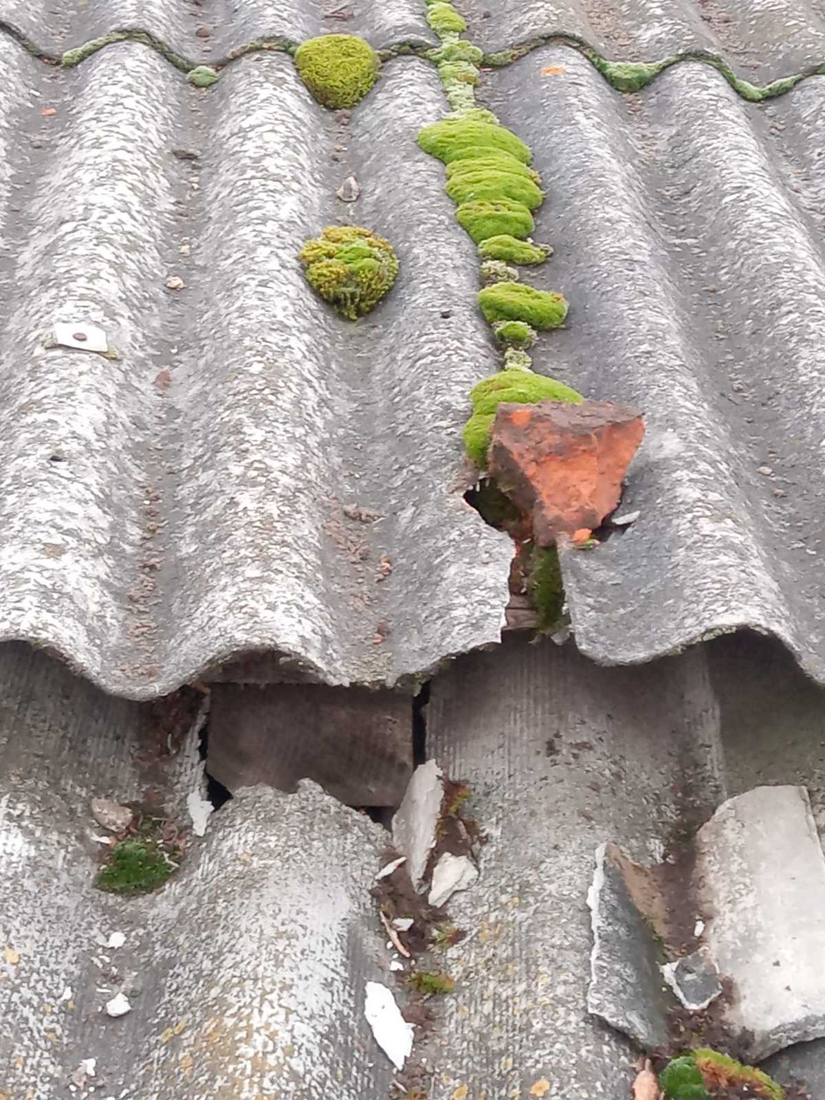 Пенсіонерці з Середино-Буди потрібна допомога з ремонтом житла