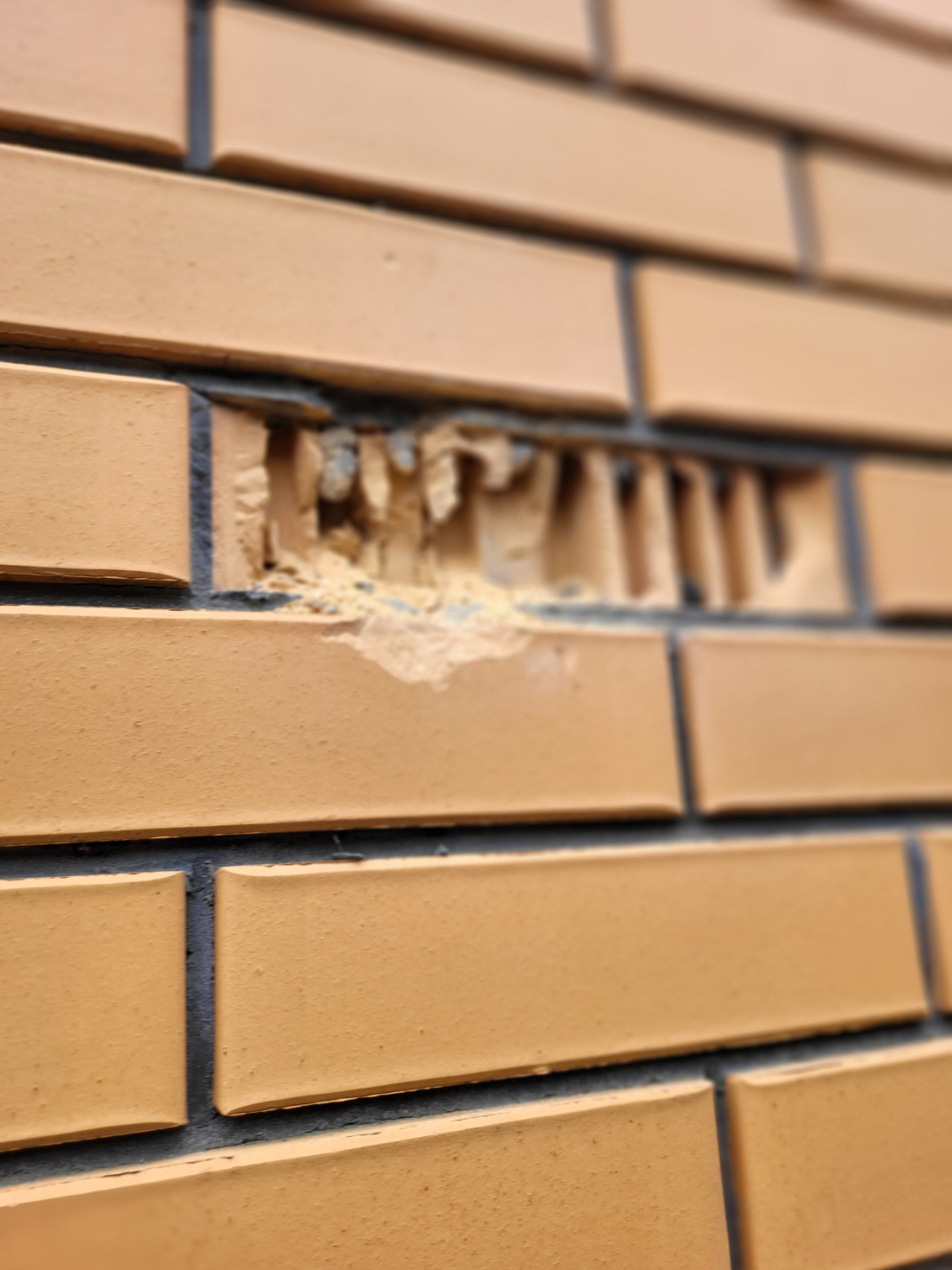 Будинок поступово руйнується через пошкоджений дах