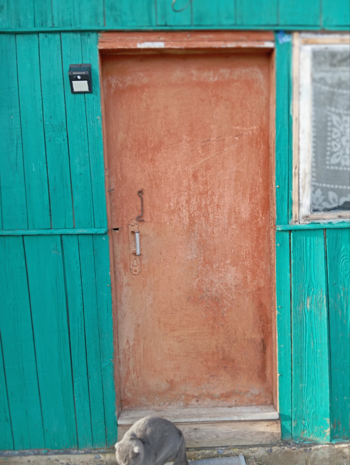 Снаряд впав на подвір'я жінки з Сумщини