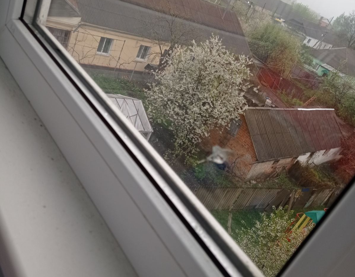 Пошкоджено вікна у квартирі родини з неповнолітньою дитиною