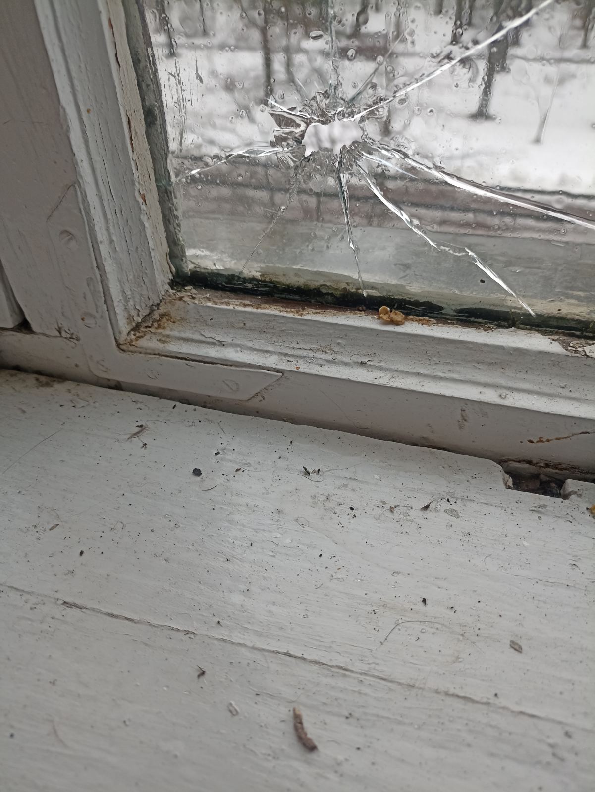 Постраждала квартира пенсіонера 