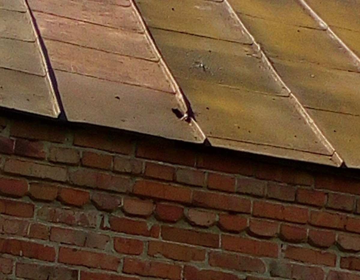 Травмована під час обстрілу жінка просить допомоги у відновленні будинку