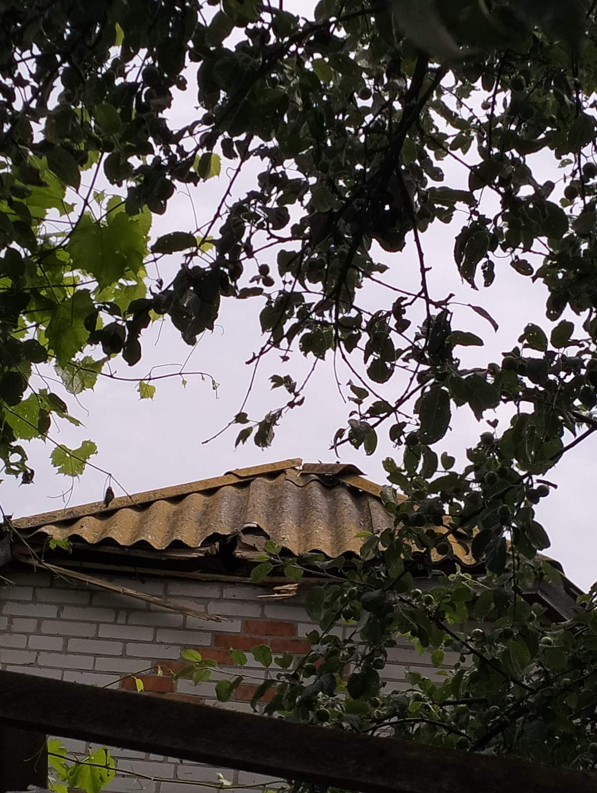 Чоловіку з Сумщини було пошкоджено 23 вікна