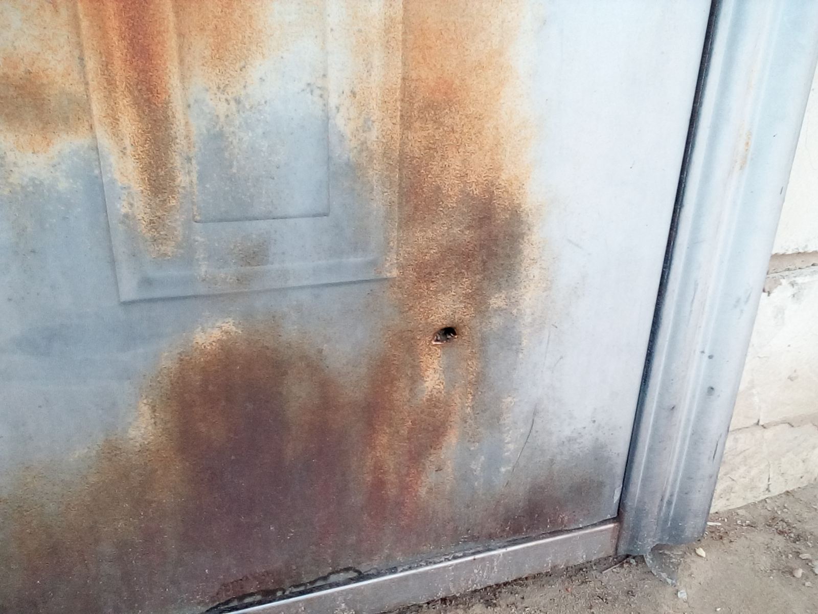 Майстер лісу з Середино-Буди просить допомоги