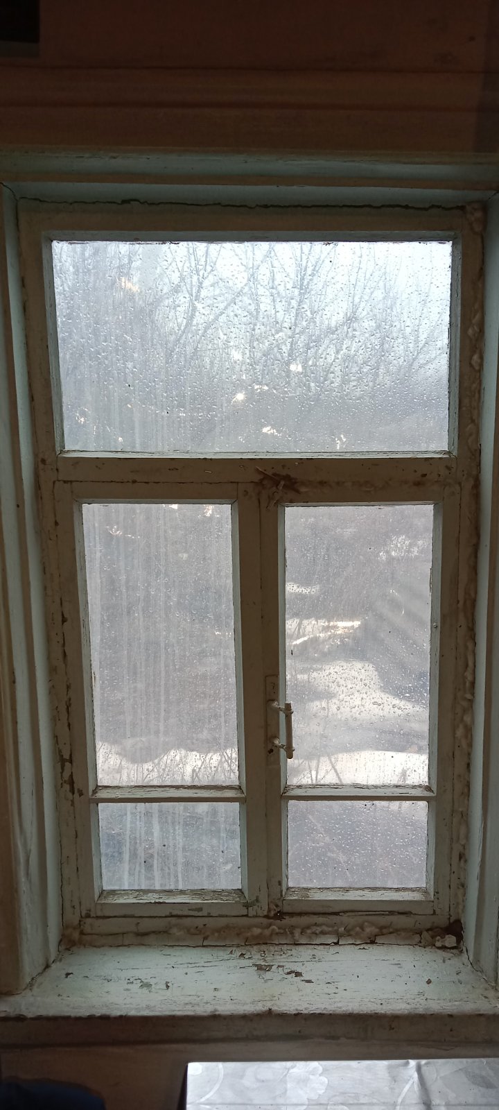 Жінка з двома дітьми з Миропілля живуть в будинку без вікон