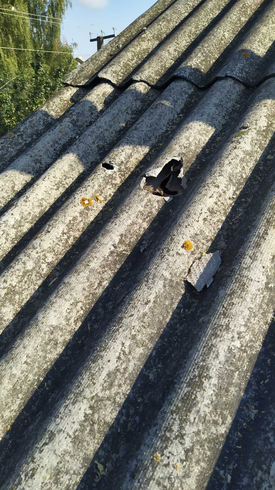 Жінка з Середино-Буди просить допомогти замінити вікна