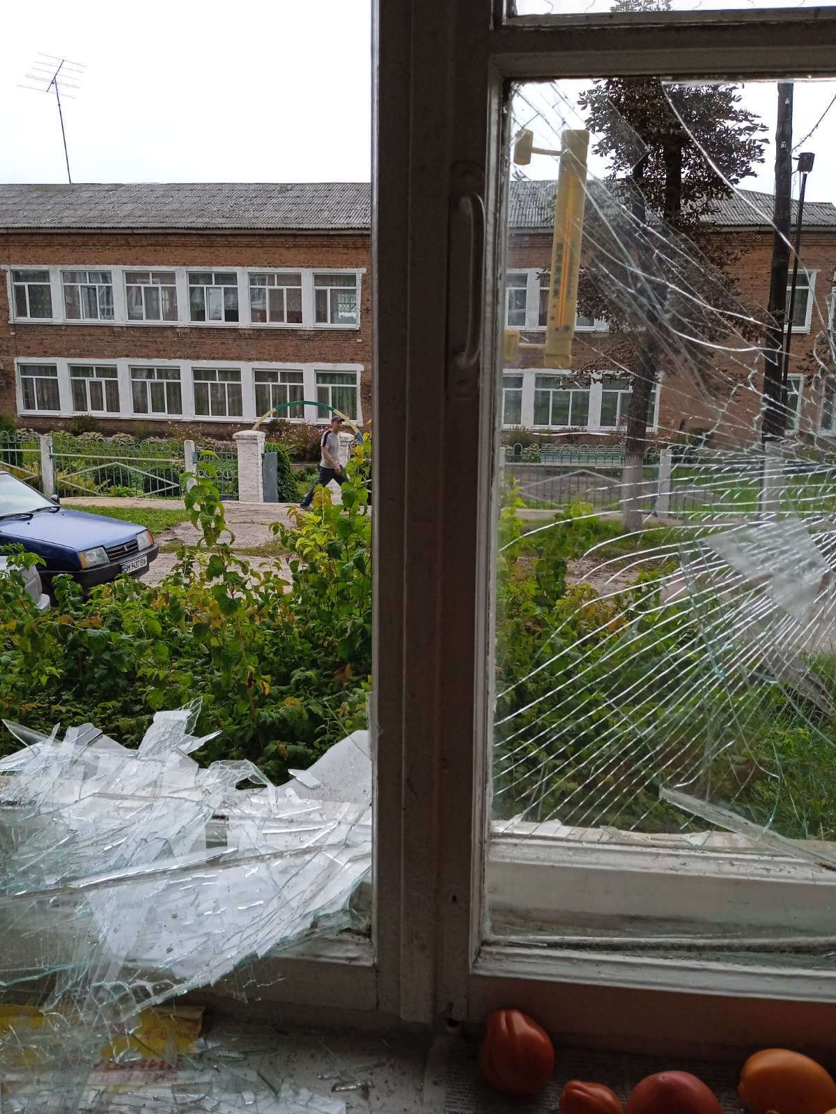 Пенсіонерці потрібна допомога у відновленні вікон