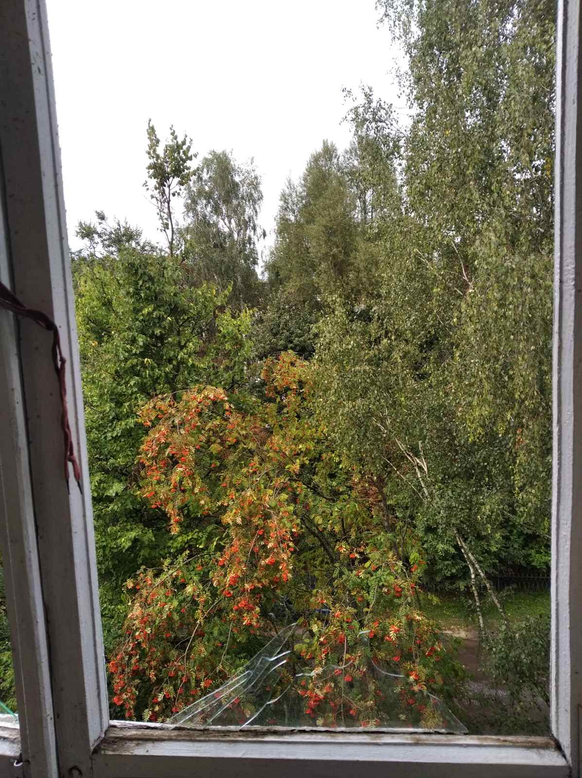 В квартирі пенсіонера вибиті вікна