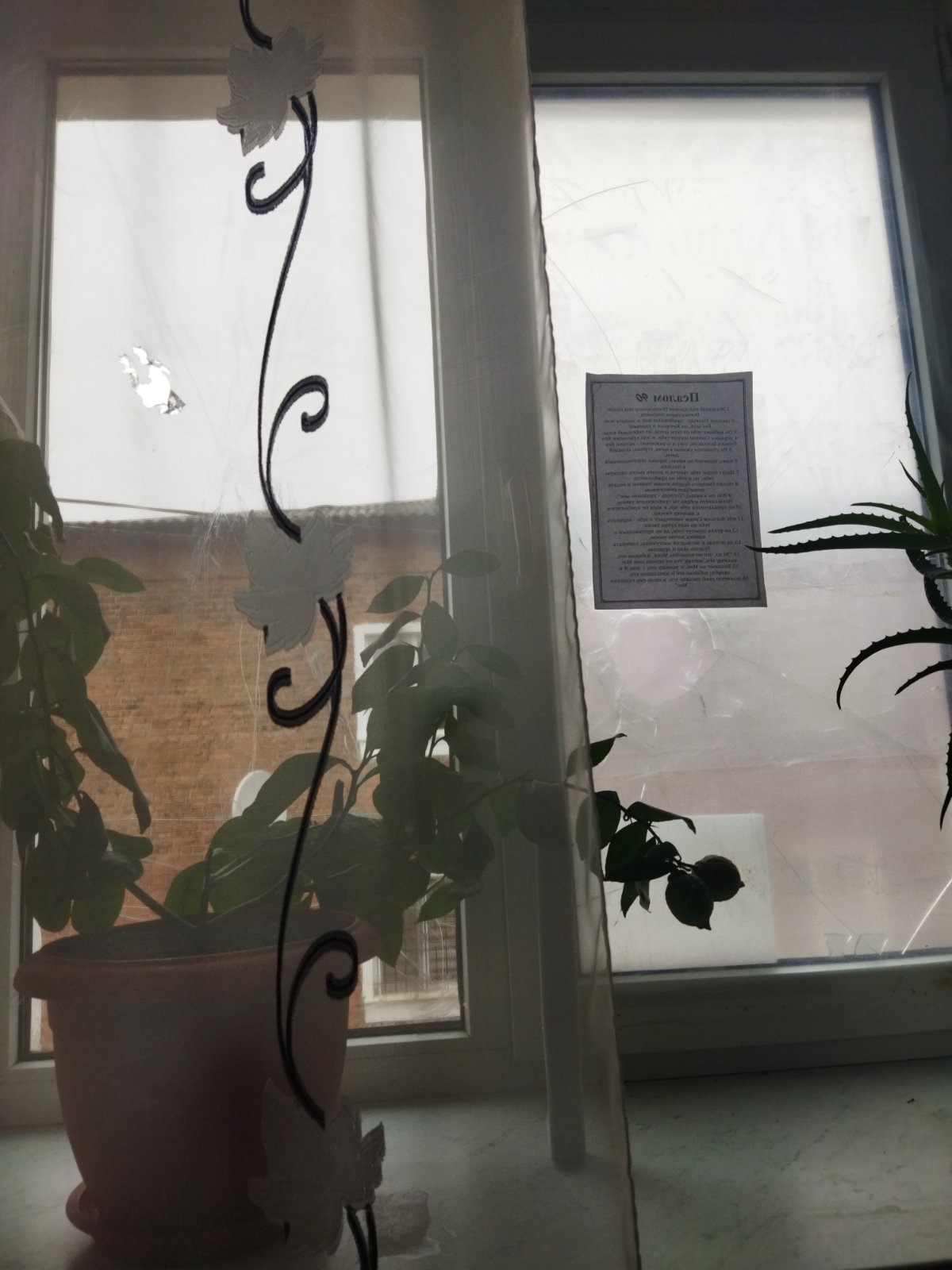 У пенсіонерки внаслідок атаки росіян залишилися вибиті вікна та пошкоджений балкон