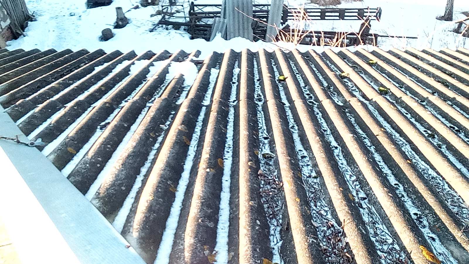 Майстер лісу з Середино-Буди просить допомоги