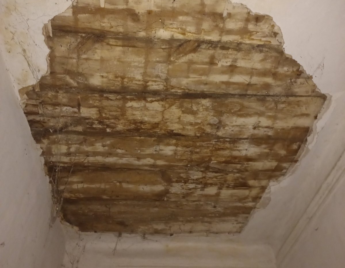 Вибило 5 вікон пенсіонерки з Білопілля