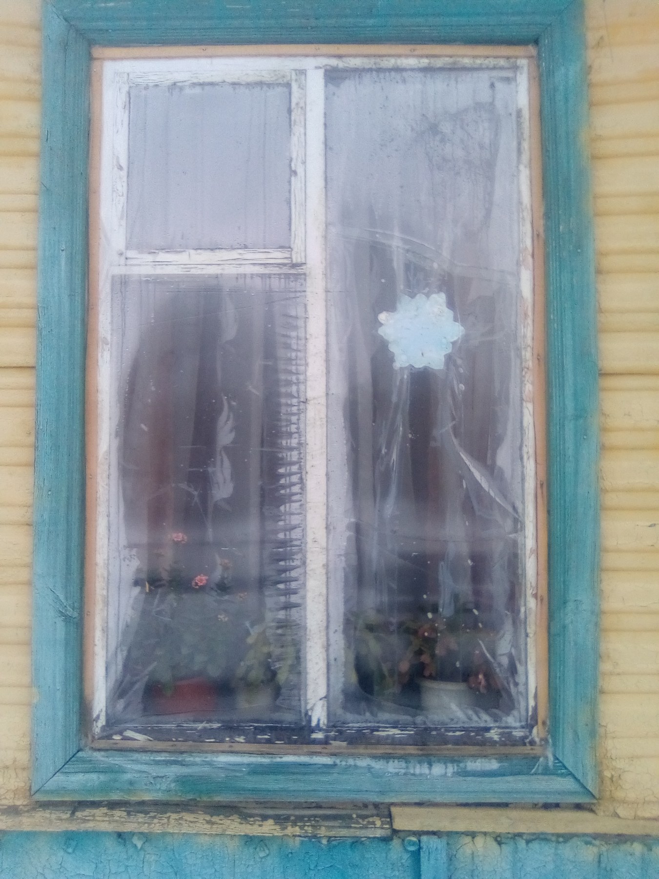 Жінка з двома дітьми мешкають в будинку з розбитими вікнами