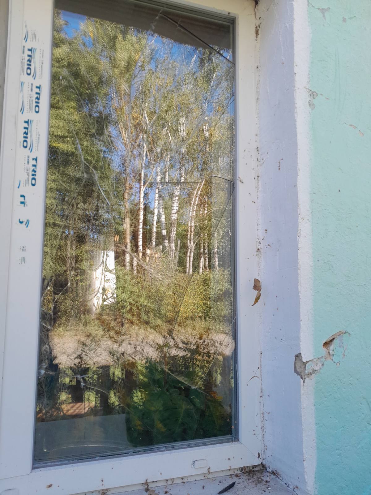 Родині зі Зноб-Новгородського потрібна допомога в ремонті житла