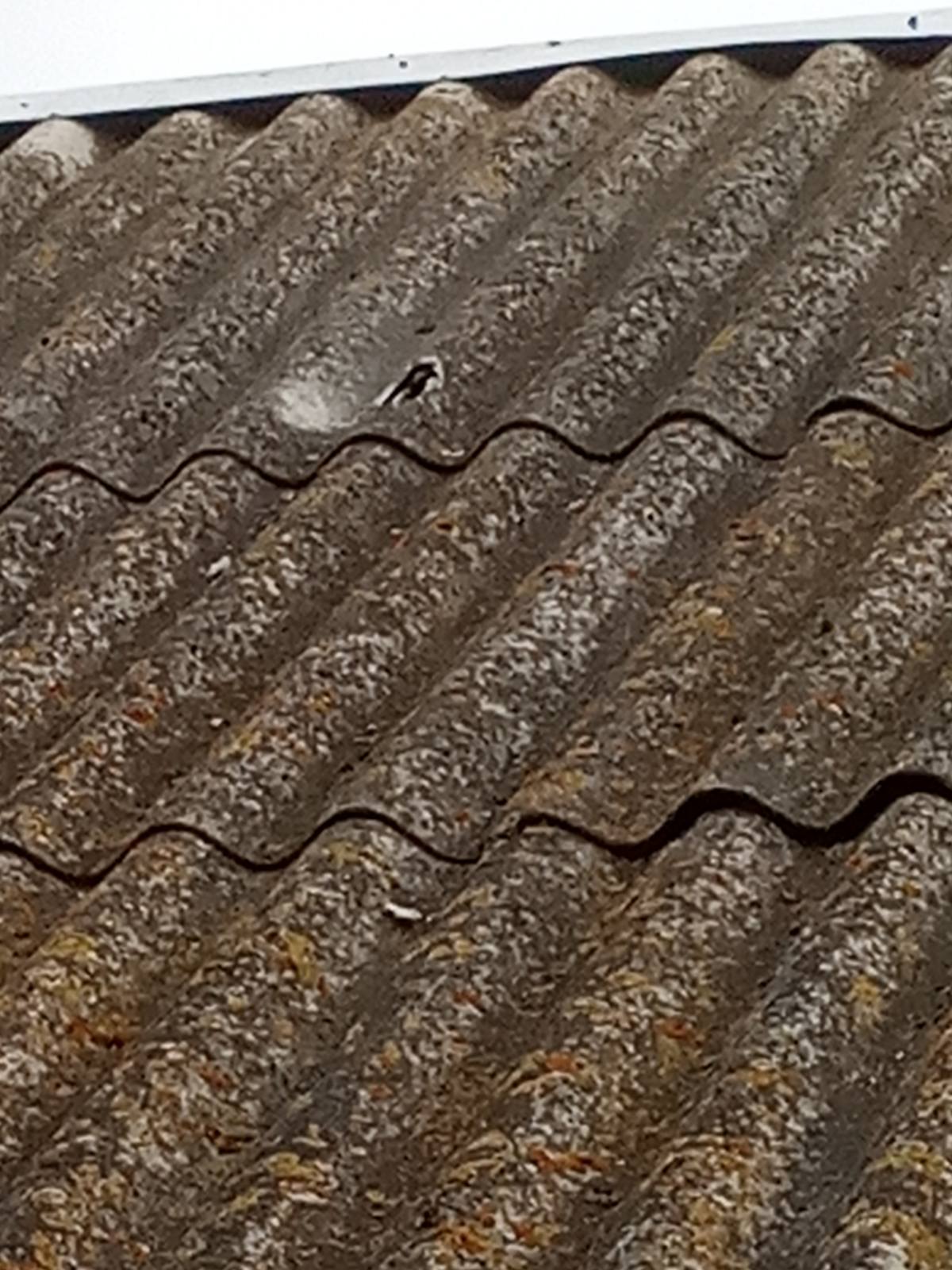 Вибило вікна та пробило дах родині з Сумщини