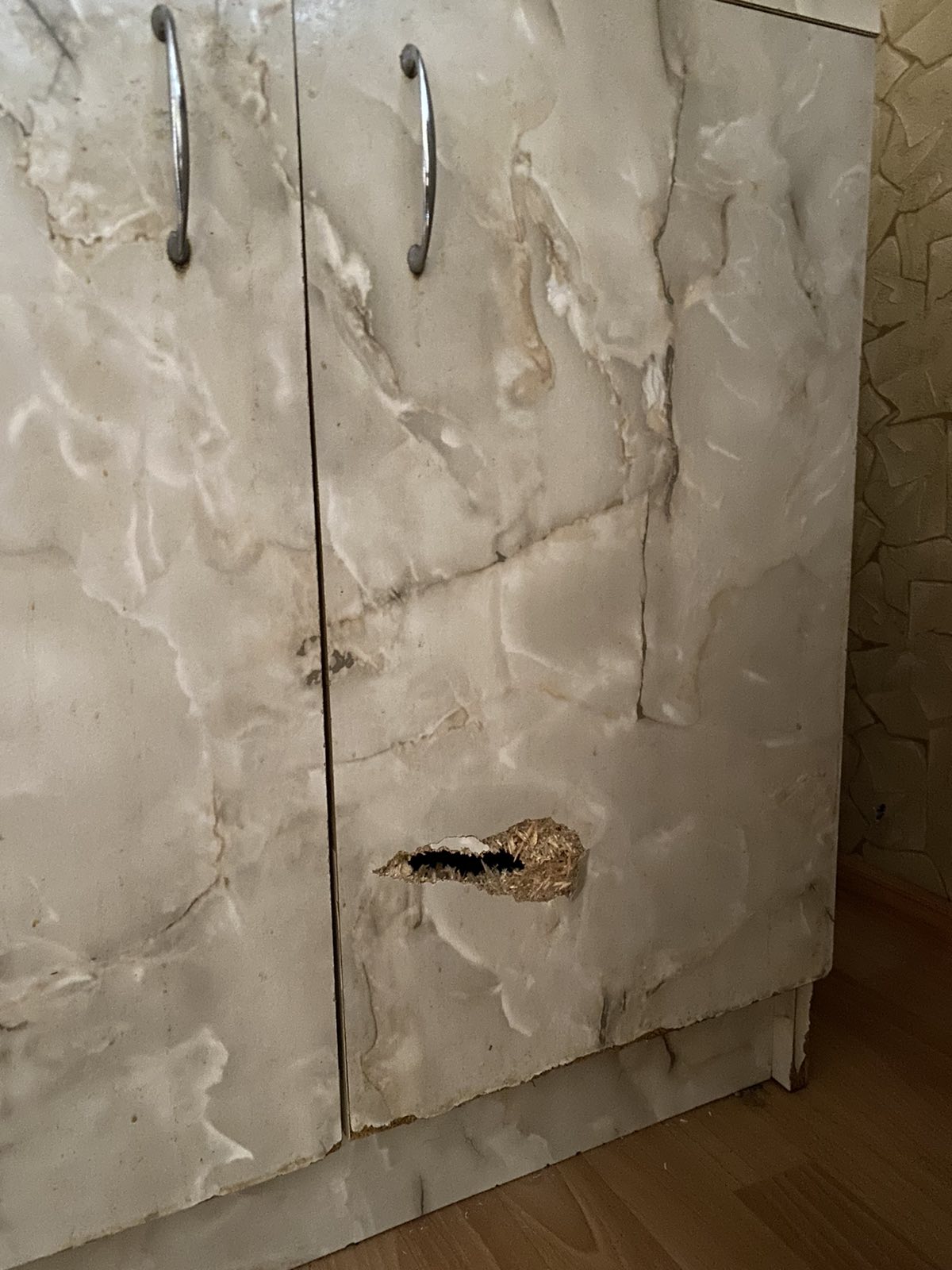 Пенсіонерка з Сумщини просить про допомогу