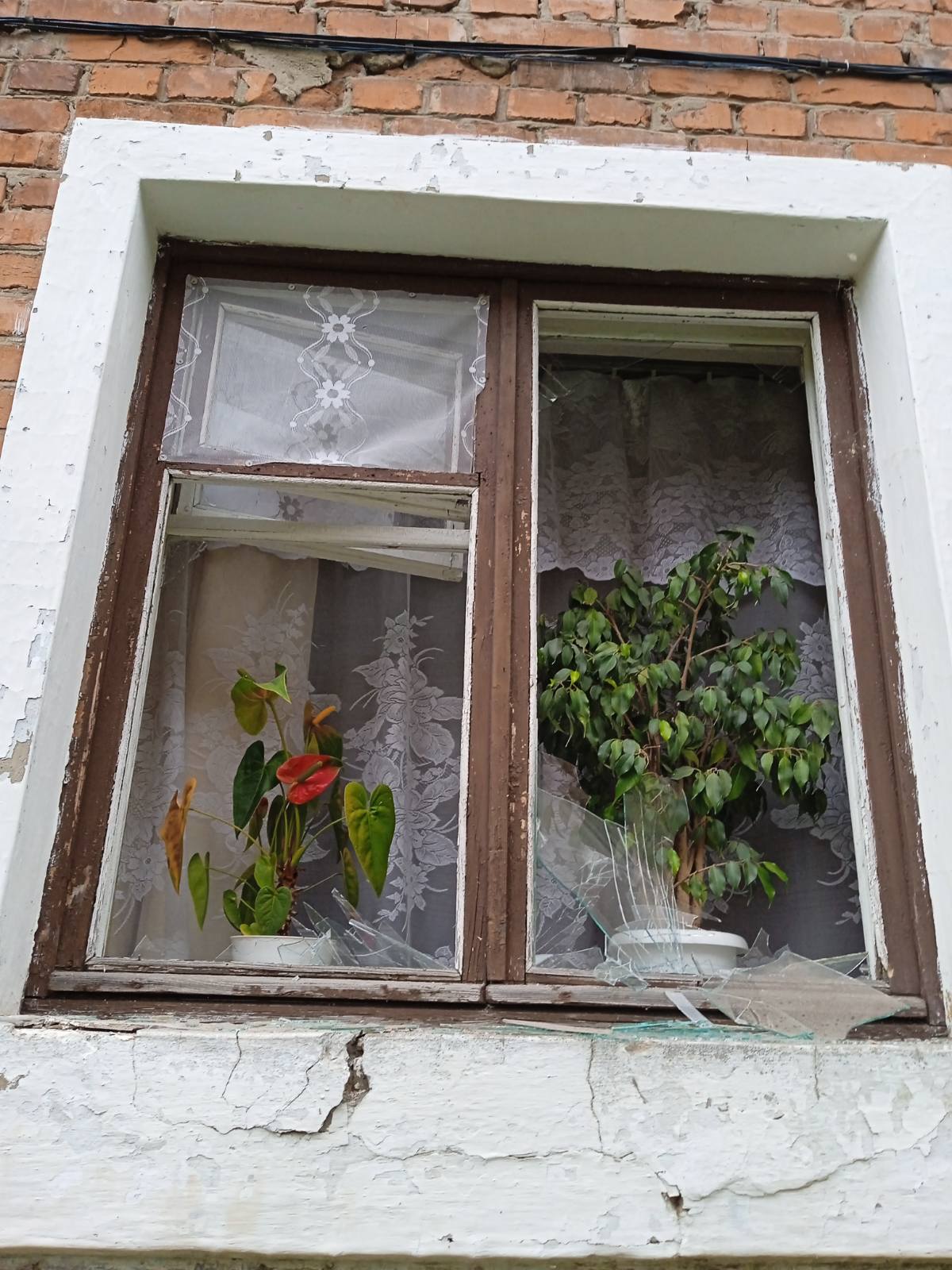 Пенсіонерці потрібна допомога у відновленні вікон