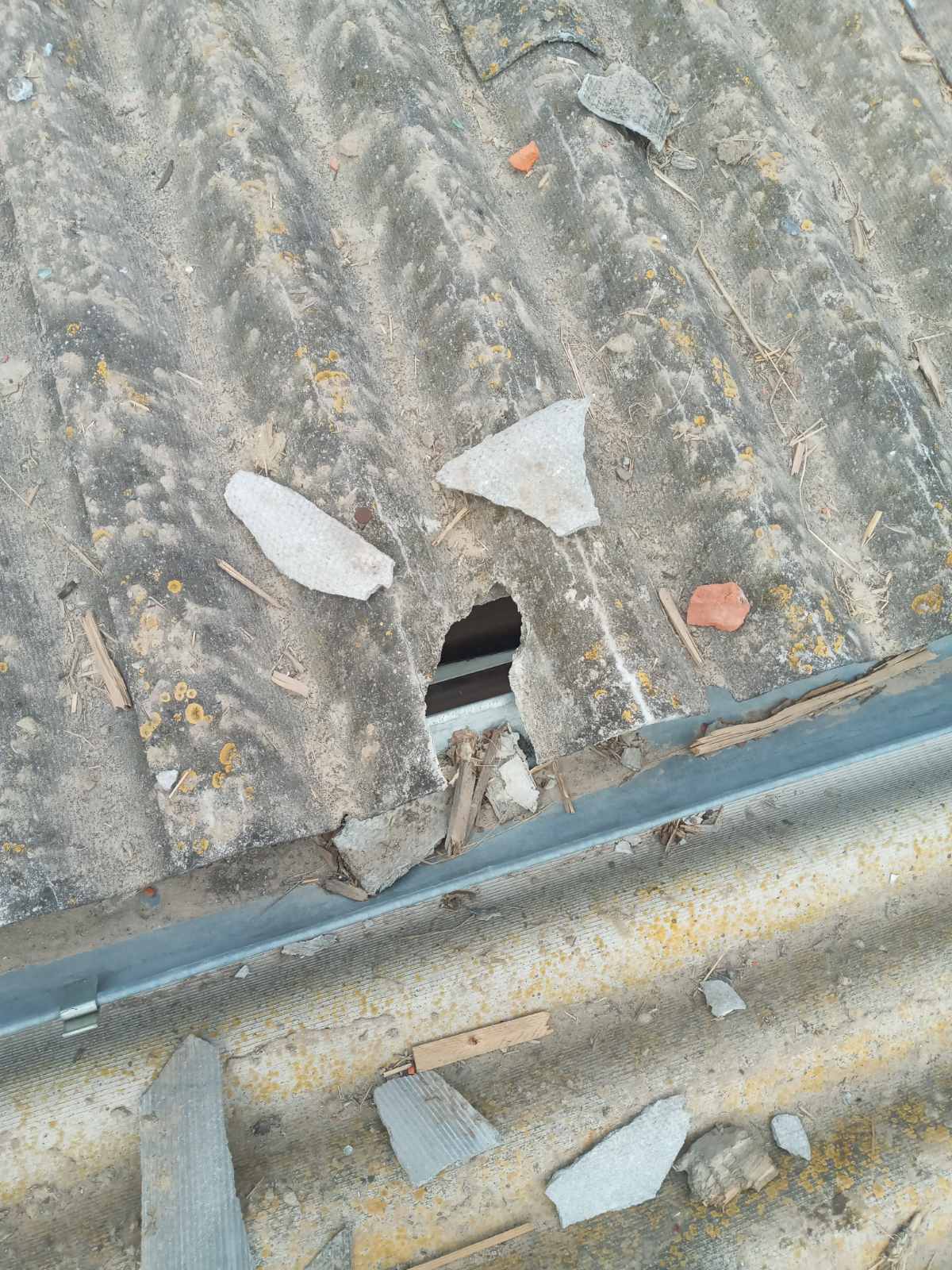 Снаряд упав біля будинку родини з Сумщини