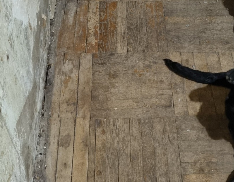 Мама-одиначка з Харківщини потребує допомоги