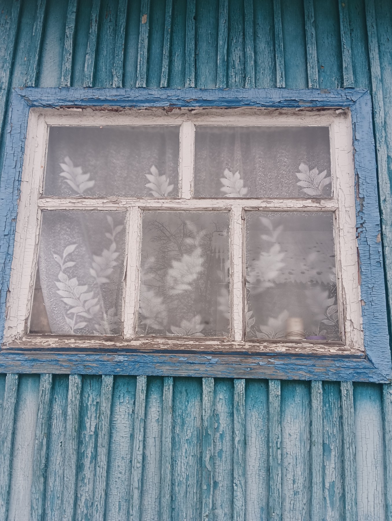 Подружжя пенсіонерів з Кияниці живе в пошкодженому обстрілом будинку 