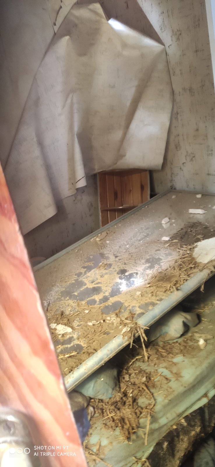 Сім'я переселенців хоче відбудувати свій дім і повернутися додому