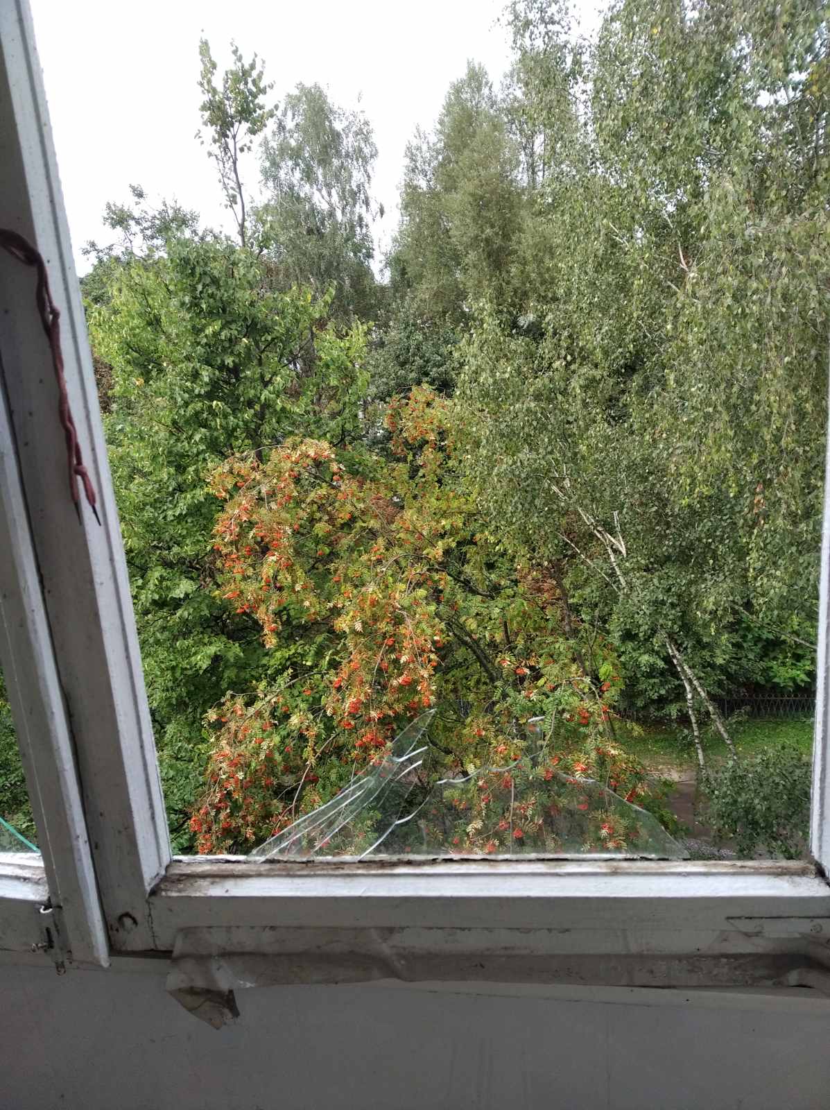 В квартирі пенсіонера вибиті вікна