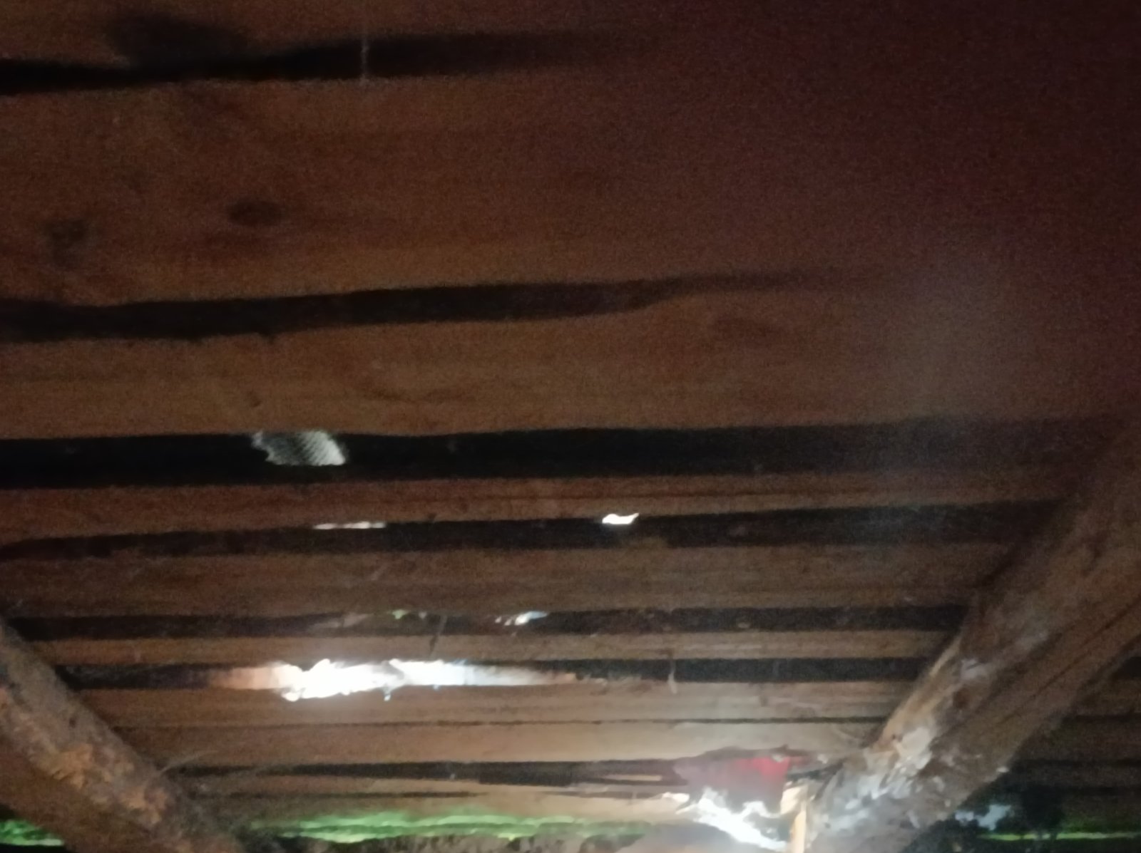 Жінка з двома дітьми та племінником мешкають в будинку з пошкодженим  дахом