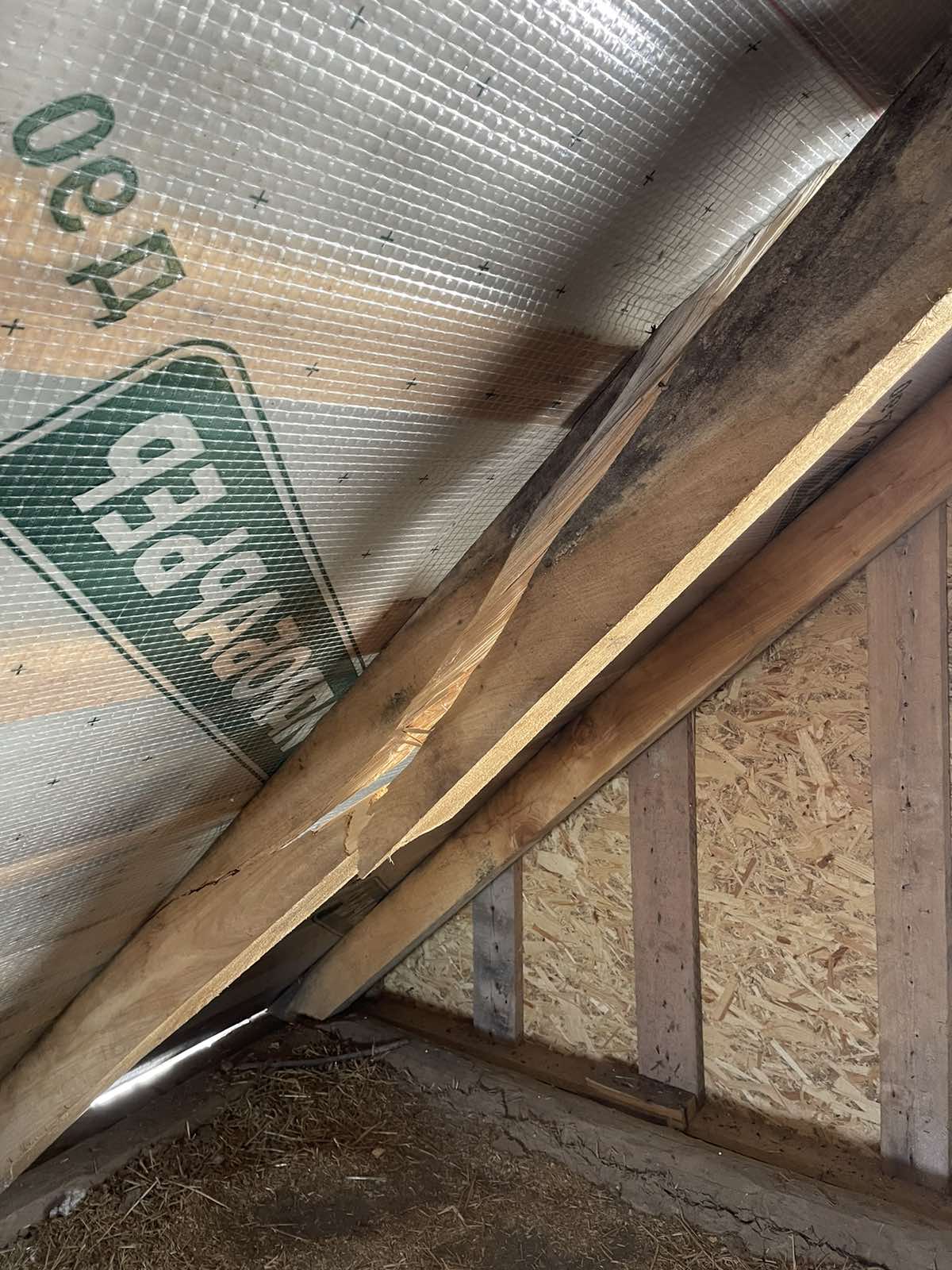 Жінка з родини військових живе в будинку, пошкодженому обстрілами