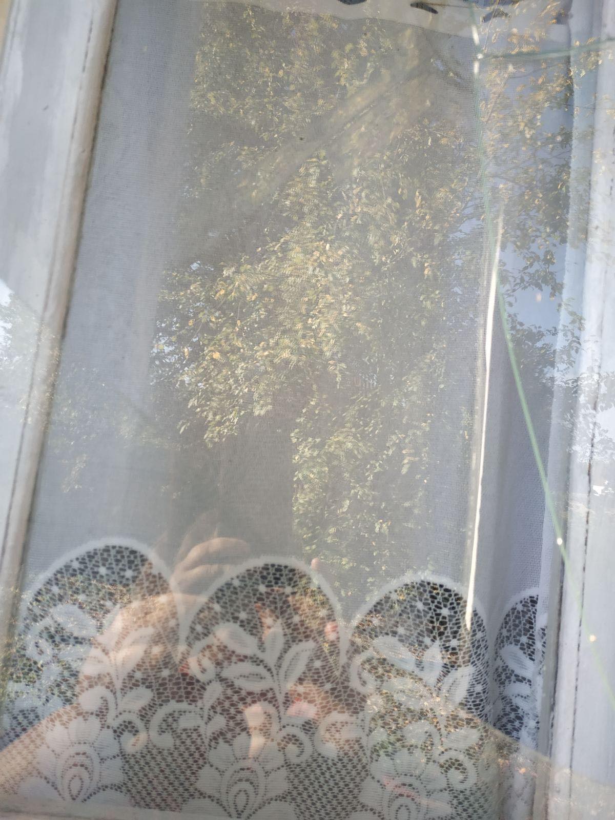 Стіна в будинку пробита осколками після вибуху