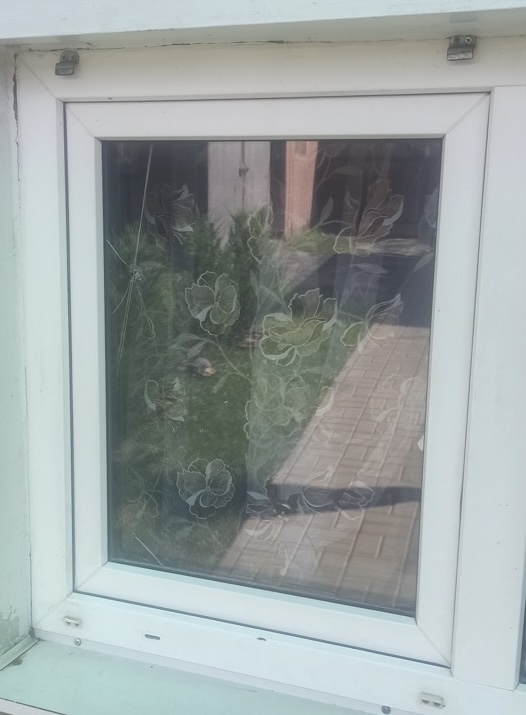 Пенсіонерка з Сумщини просить про допомогу