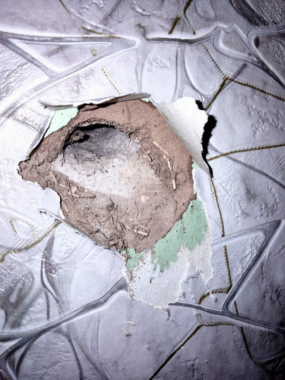 Переселенці з Донеччини, яких ворог двічі намагався позбавити дому, потребують допомоги