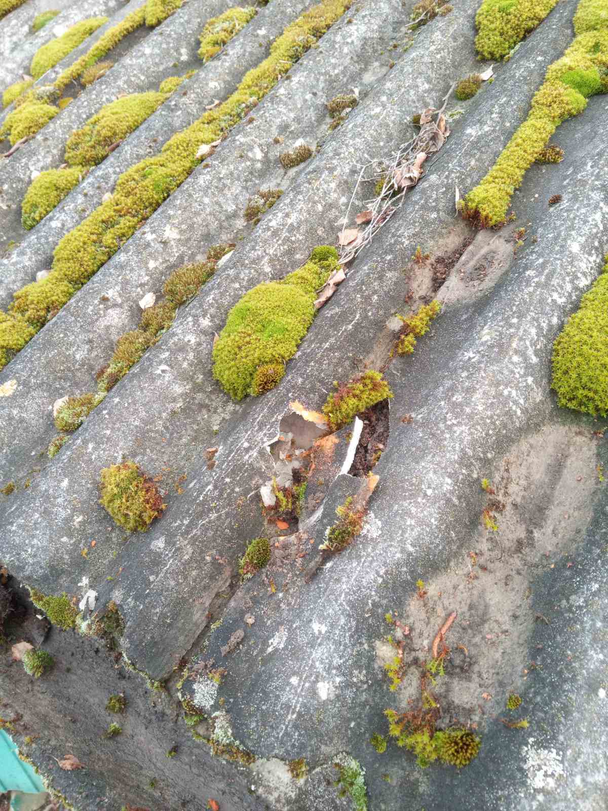 Пенсіонерці з Середино-Буди потрібна допомога з ремонтом житла