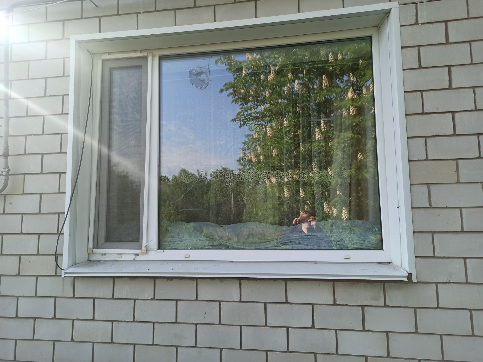 Пошкоджено будинок жінки з інвалідністю