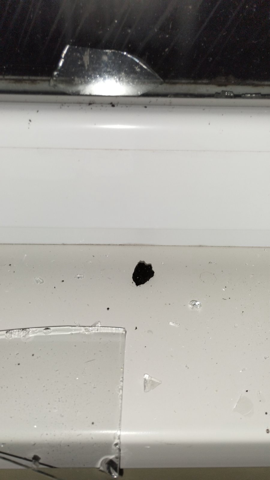 Пошкоджена квартира стала прихистком для потребуючих