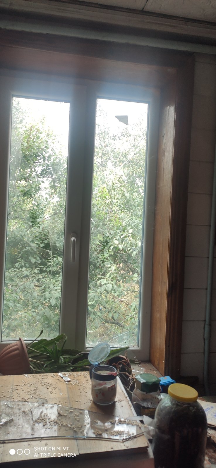 Сім'я переселенців хоче відбудувати свій дім і повернутися додому