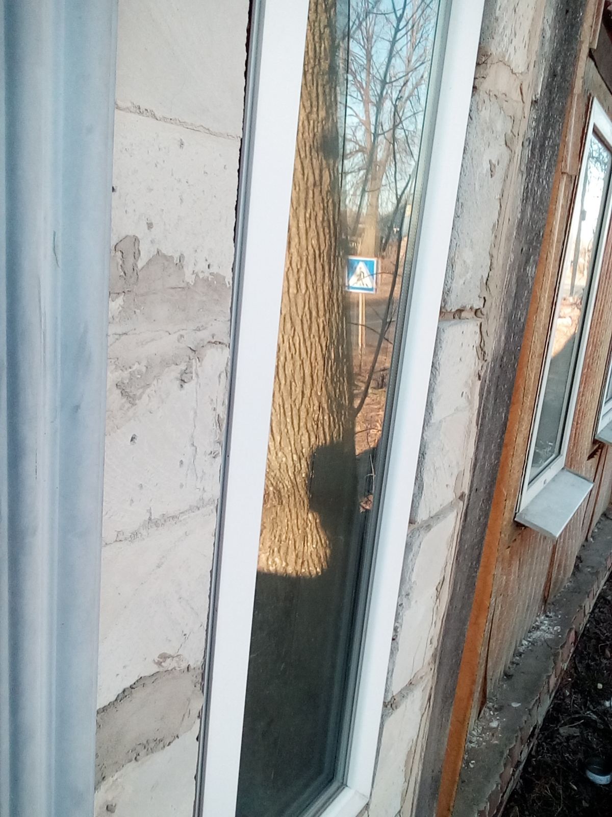 Майстер лісу з Середино-Буди просить допомоги