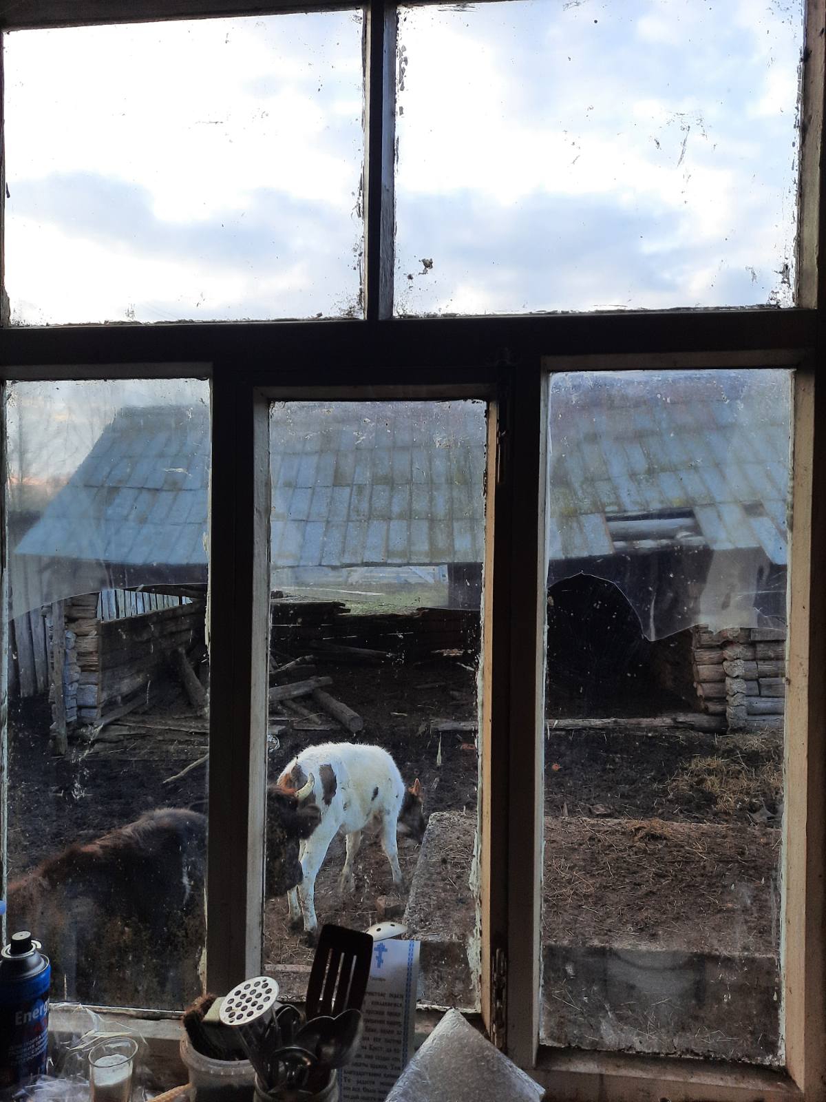 Вибито 8 вікон у будинку родини з маленькою дитиною