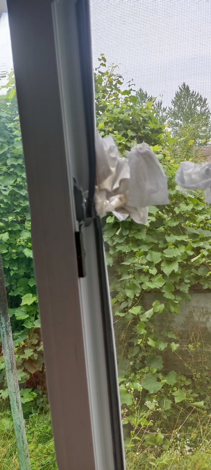 Обстріляли будинок пенсіонерів з Сумщини