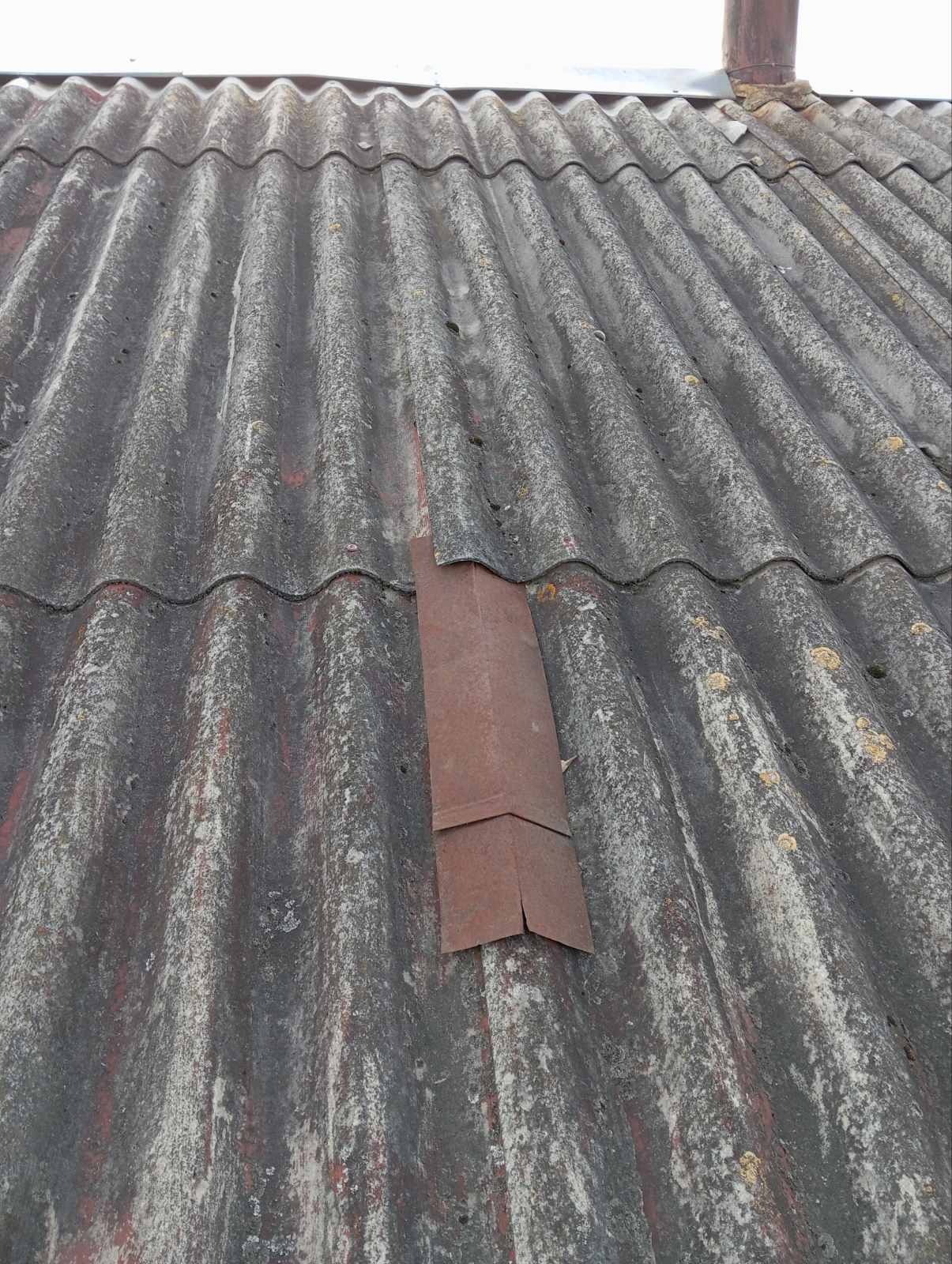 Снаряд впав на подвір'я жінки з Сумщини