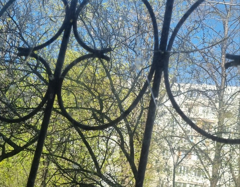 Мама-одиначка з Харківщини потребує допомоги