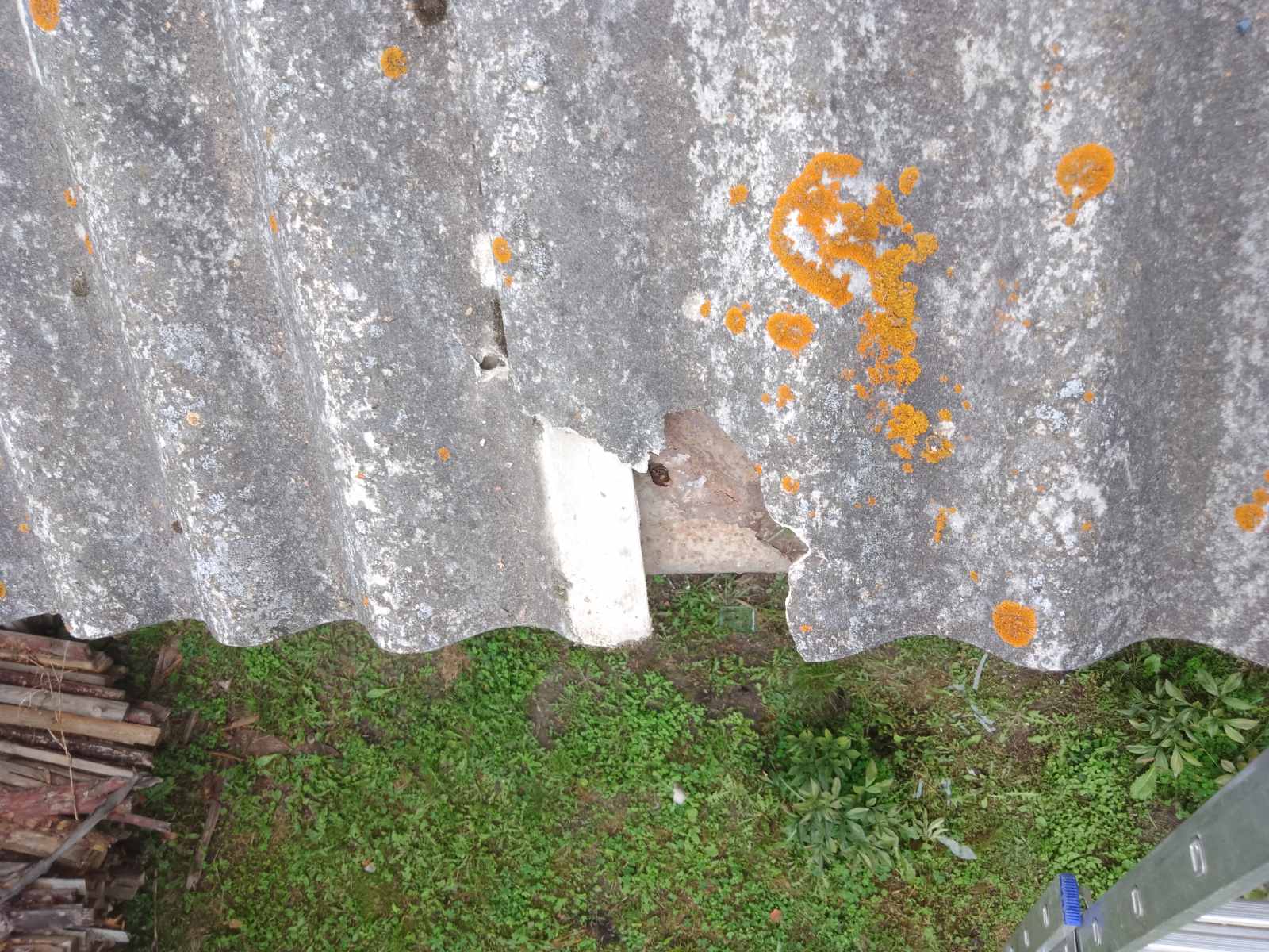 Родина з новонародженою дитиною залишилась без будинку