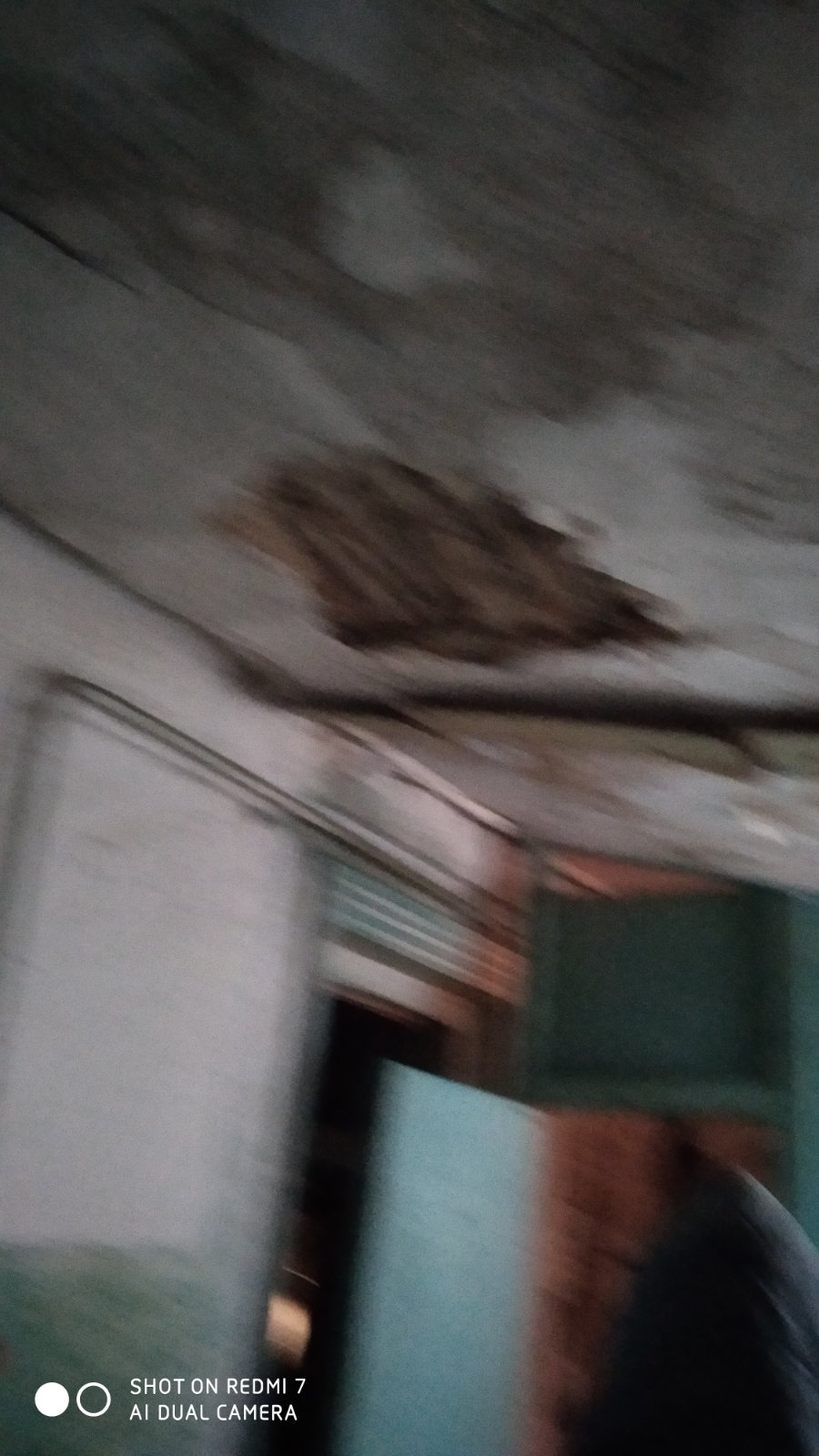 Допоможіть подружжю пенсіонерів жити разом: чоловіку з інвалідністю довелось покинути рідну домівку, а дружина залишилась, аби приглядати за зруйнованим сімейним гніздом 