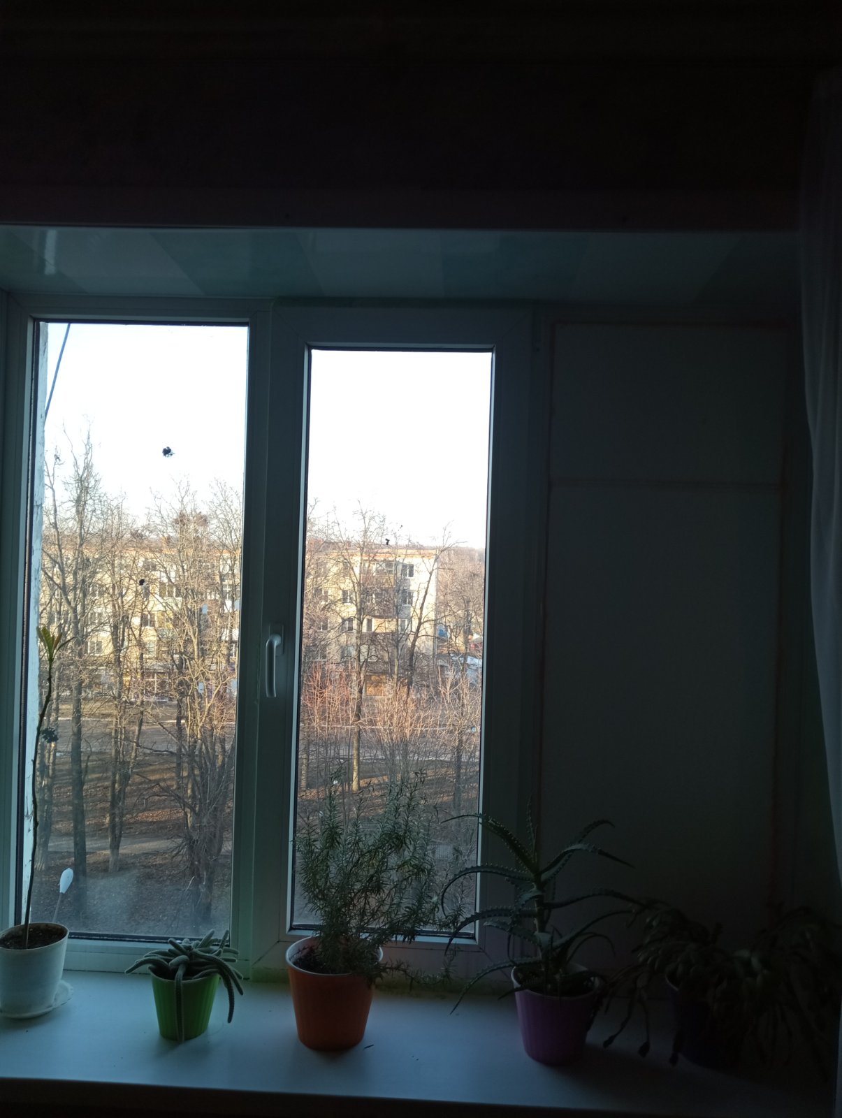 У родини із Середино-Буди від ворожих обстрілів постраждали вікна