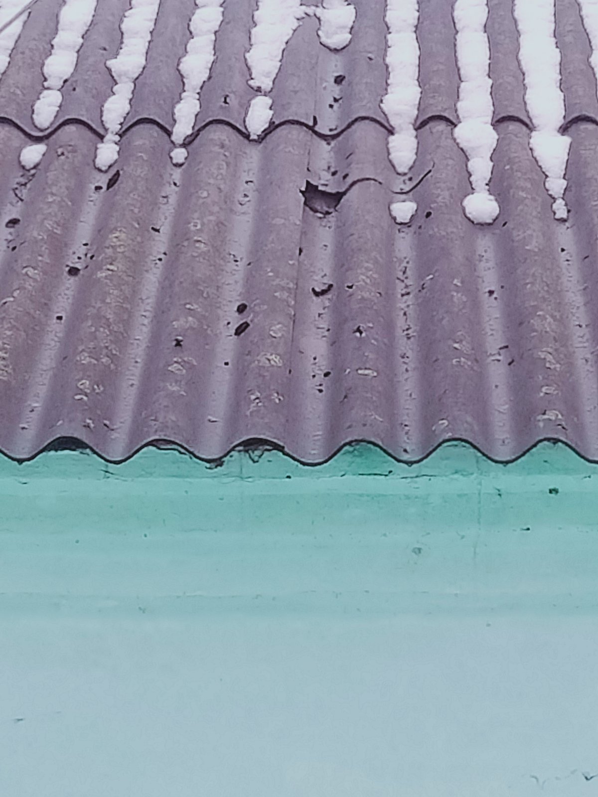 Родині зі Зноб-Новгородського потрібна допомога в ремонті житла