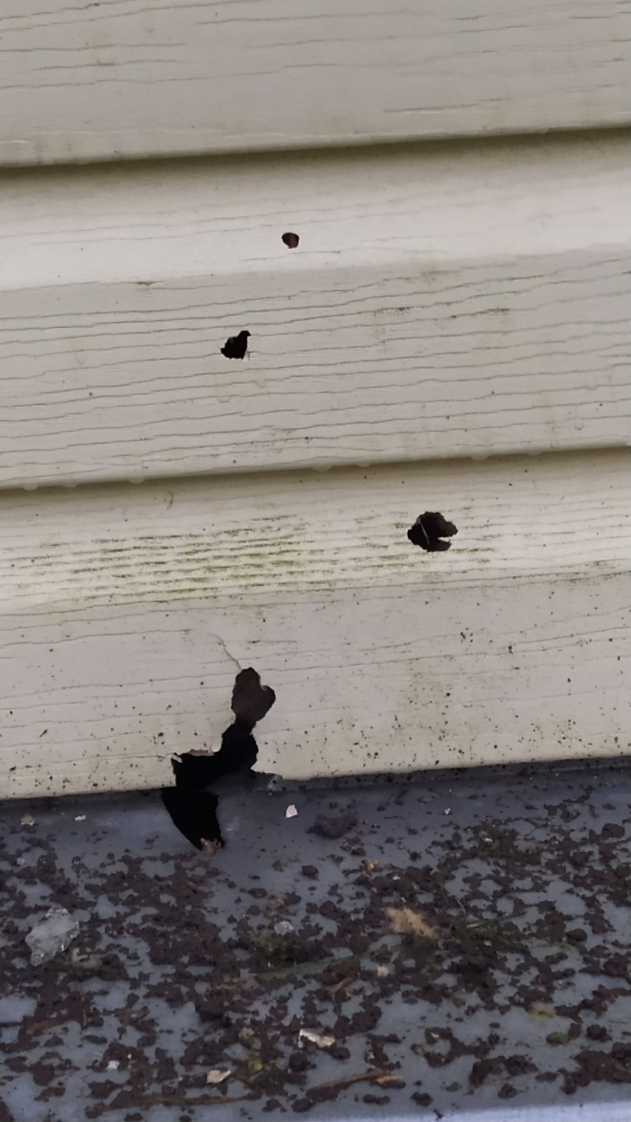 Жінка з Середино-Буди просить допомогти замінити вікна