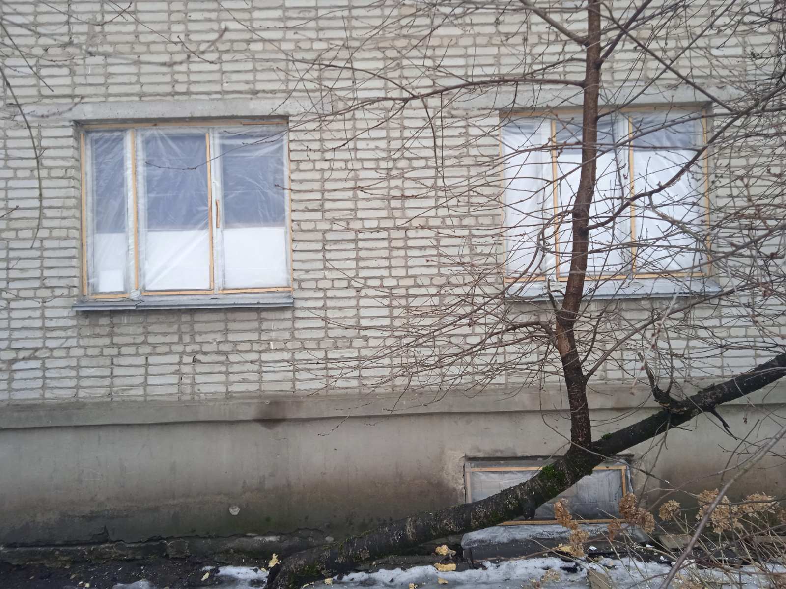 Пенсіонерка зі Зноб-Новгородського живе в квартирі без вікон