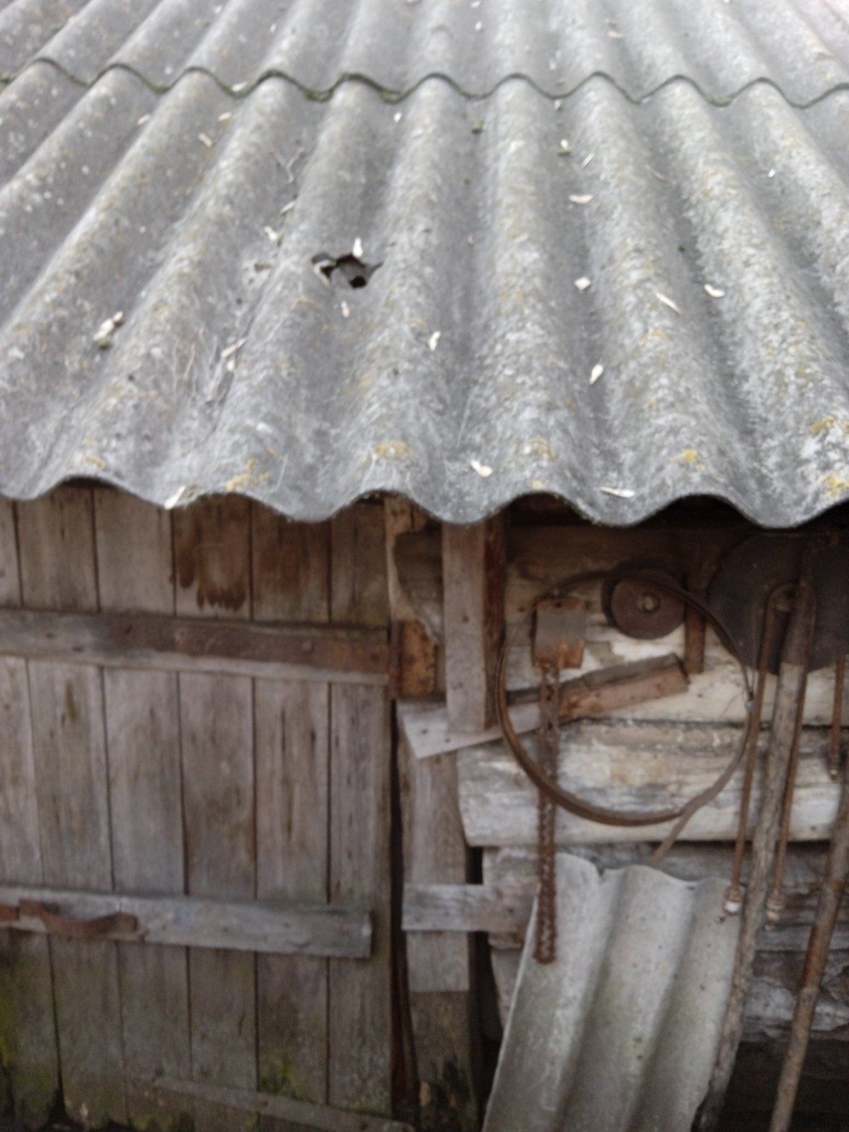 Хвора пенсіонерка залишилась без чоловіка та будинка через війну