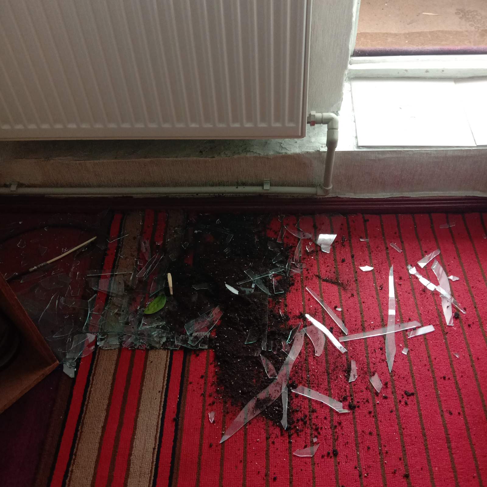 Пенсіонерка з Середино-Буди проживає в квартирі без вікна