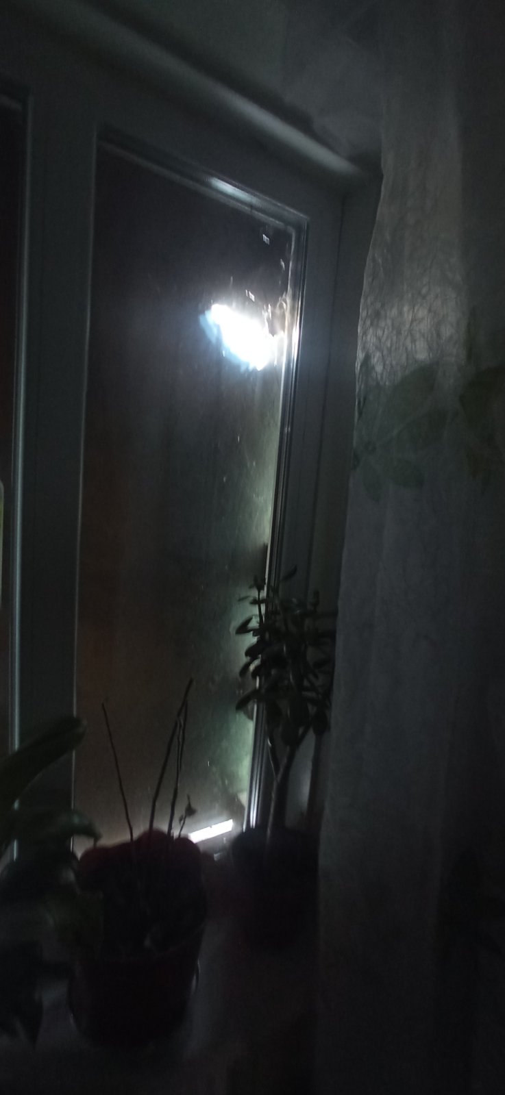 Пробита стіна, пошкоджені вікна, двері та дах - родина, яка змушена жити на кордоні з ворогом, просить допомоги