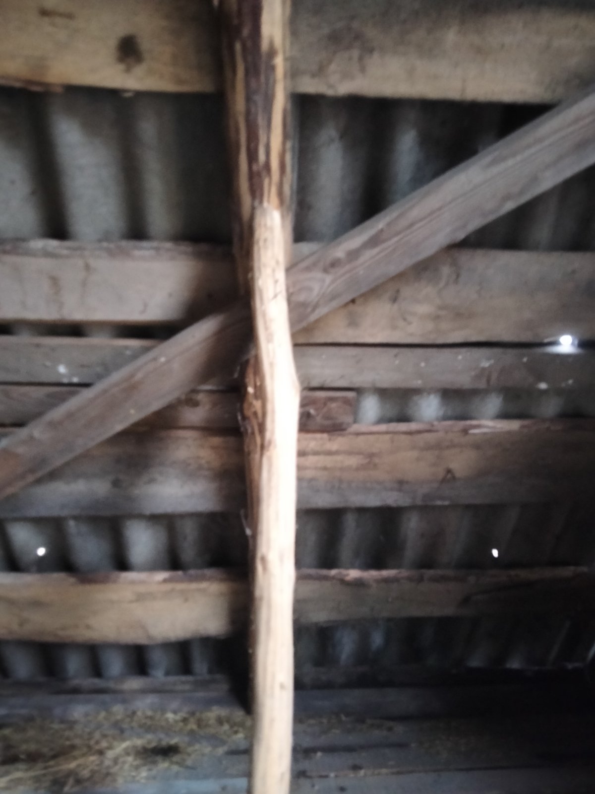 Чоловік із села Миропілля після обстрілу росіянами залишився без вікон, даху та дверей