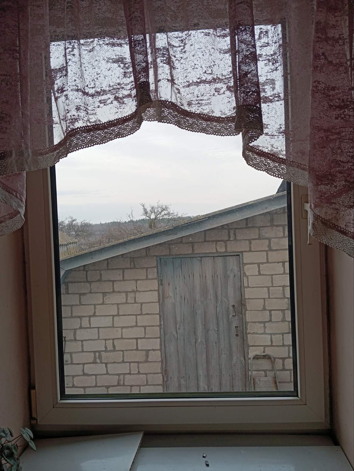 Подружжя з Кролевця просить допомогти замінити розбиті вікна